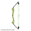 Bear Apprentice Compound Bow 2 Bear Apprentice Compound Bow -Shooting Gear Store 1360277 gr
