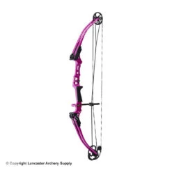 Genesis Archery Mini Genesis Bow (Colors) 11 Genesis Archery Mini Genesis Bow (Colors) -Shooting Gear Store 1570004 purple