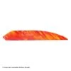 Ozark 4.5" Target Maxx Fire Camo Feather 1 Ozark 4.5" Target Maxx Fire Camo Feather -Shooting Gear Store 1610013 red