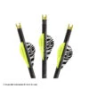 Lumenok Lumen-Arrow Bolts W/ Capture Nocks 1 Lumenok Lumen-Arrow Bolts W/ Capture Nocks -Shooting Gear Store 1670020 or 20