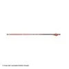 Carbon Express Maxima RED Fletched Arrows 1 Carbon Express Maxima RED Fletched Arrows -Shooting Gear Store 2250555 arrow