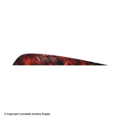 Gateway 5" Parabolic Tre Camo Feather 17 Gateway 5" Parabolic Tre Camo Feather -Shooting Gear Store 2270006 red