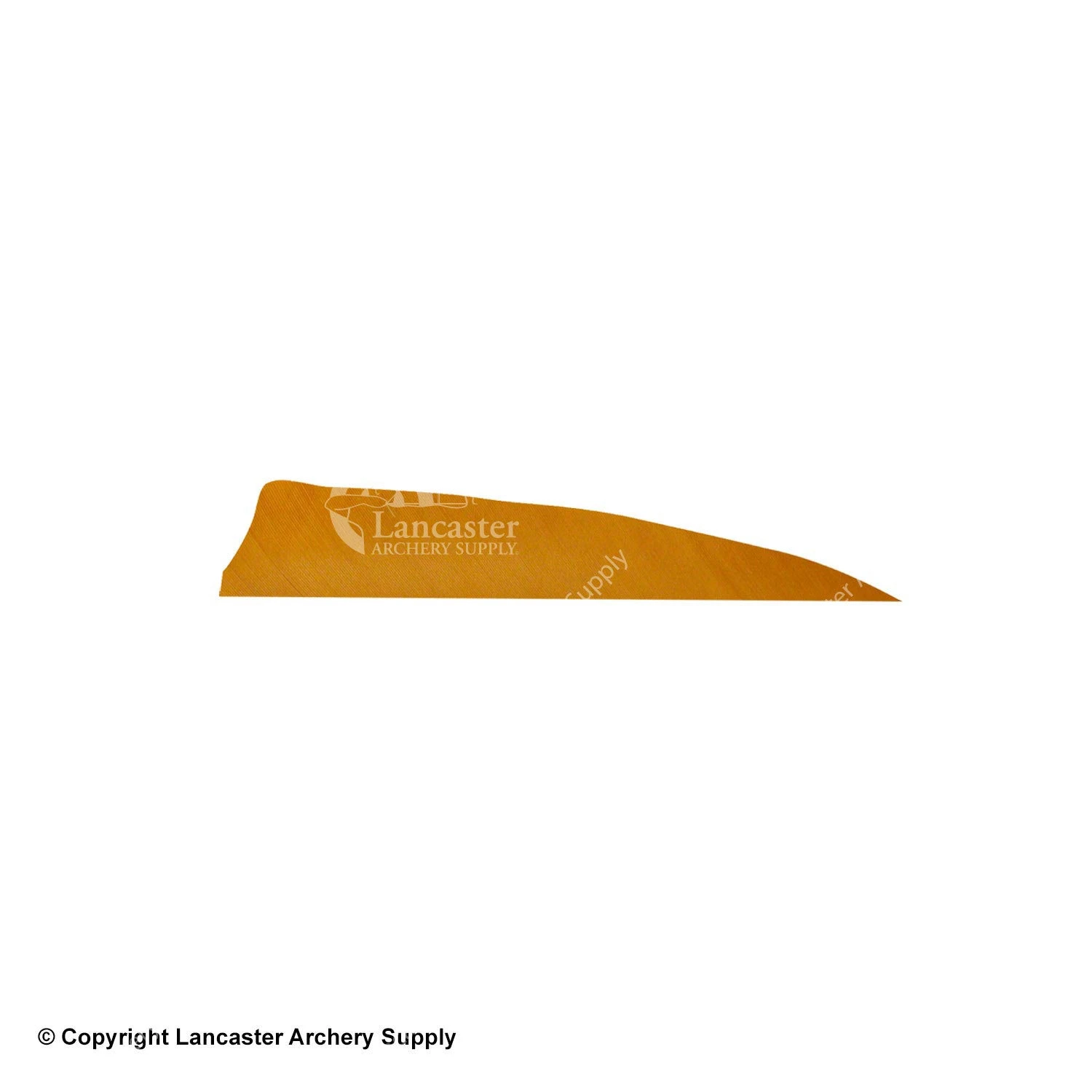 Gateway 4" Shield Feather 6 Gateway 4" Shield Feather - Image 4