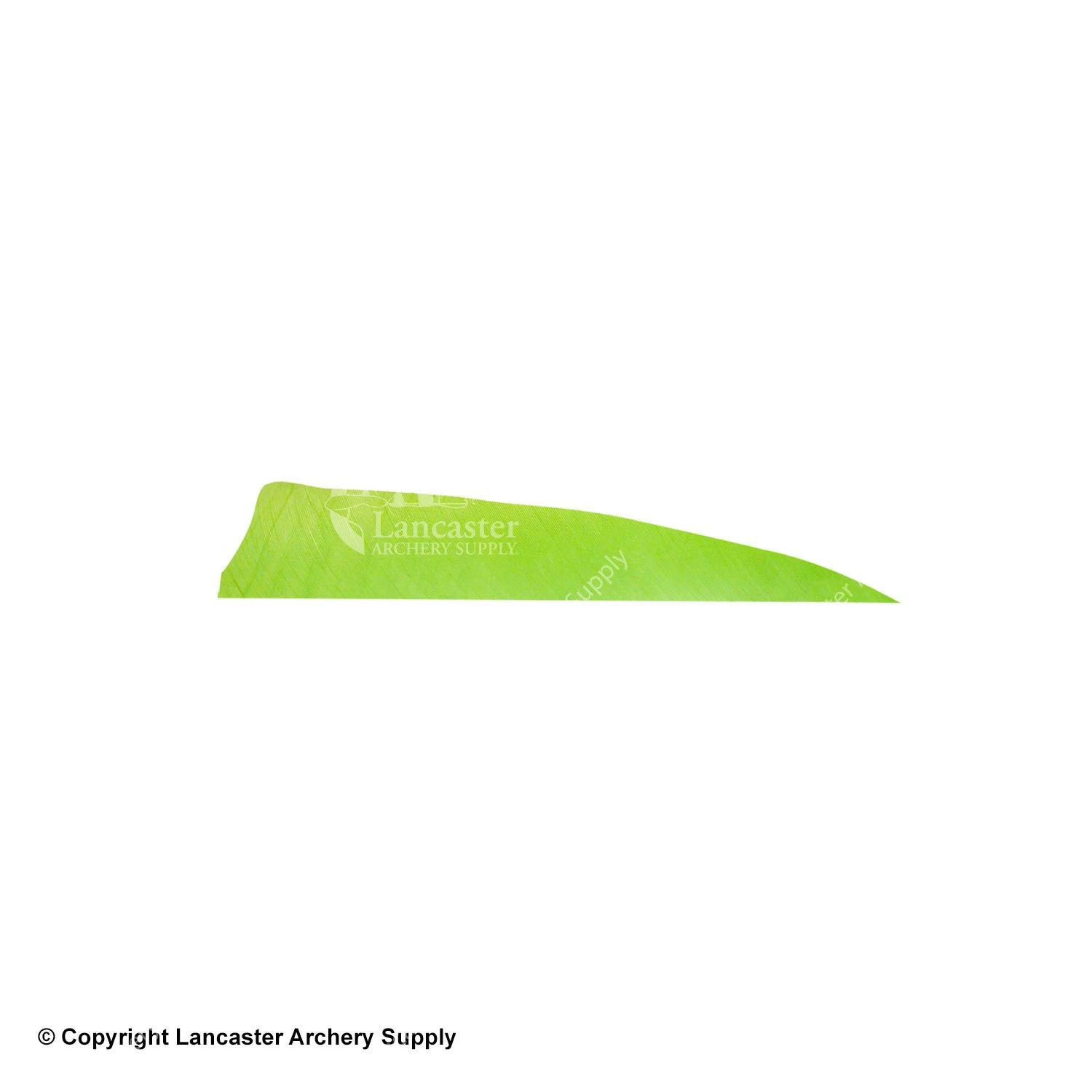 Gateway 4" Shield Feather 5 Gateway 4" Shield Feather - Image 3