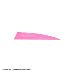 Gateway 4" Shield Feather 26 Gateway 4" Shield Feather -Shooting Gear Store 2270007 pink