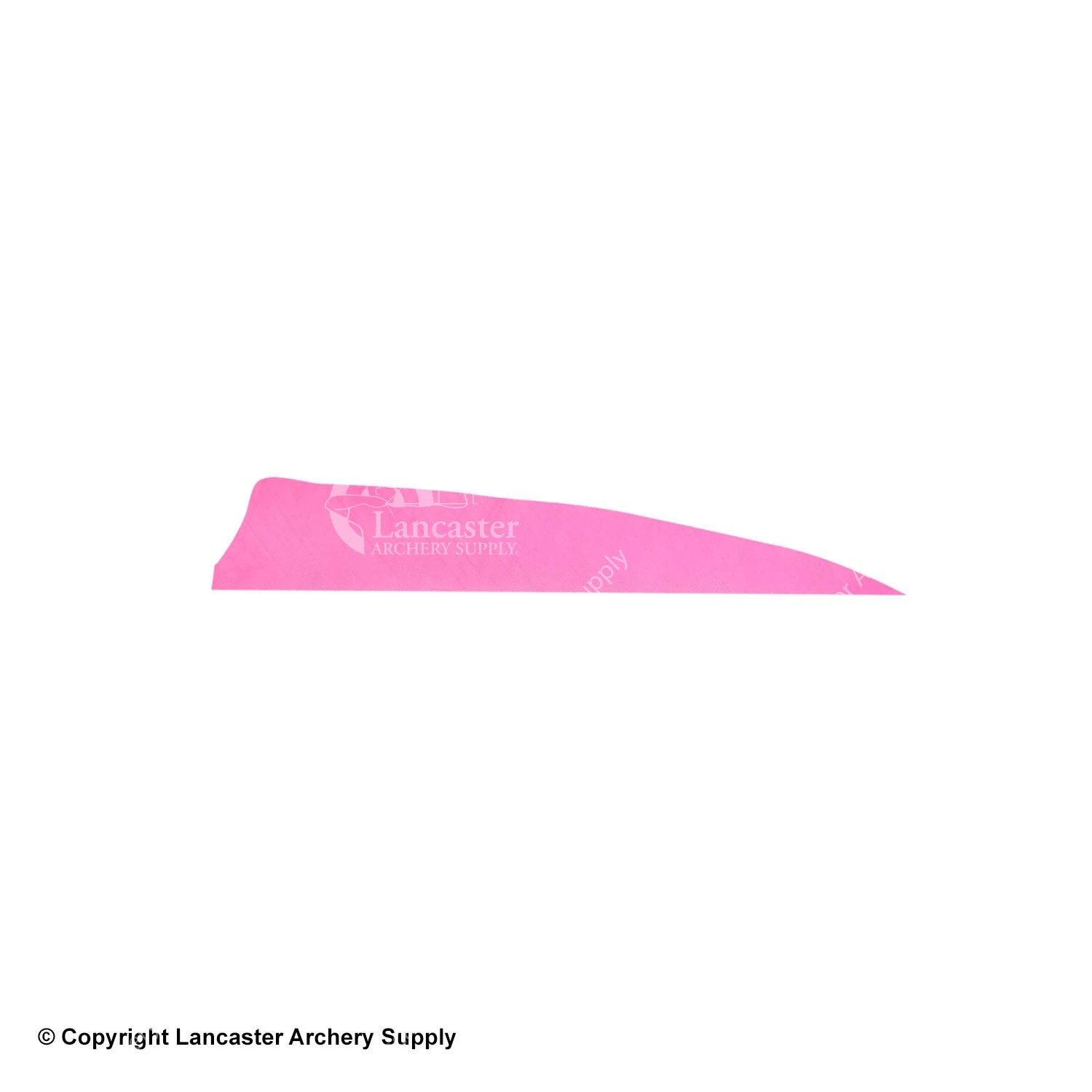 Gateway 4" Shield Feather 11 Gateway 4" Shield Feather - Image 9