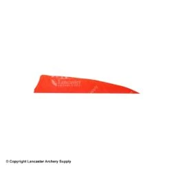 Gateway 4" Shield Feather 19 Gateway 4" Shield Feather -Shooting Gear Store 2270007 red