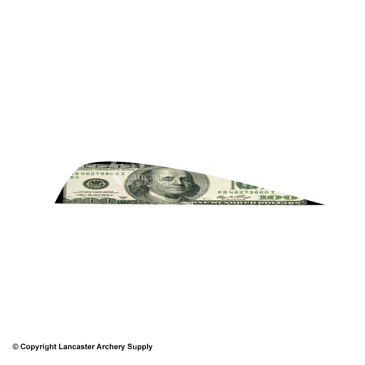 Gateway 4" Printz Feather 12 Gateway 4" Printz Feather - Image 10