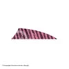 Gateway 2" Rayzr Barred Feather (Left Wing) 2 Gateway 2" Rayzr Barred Feather (Left Wing) -Shooting Gear Store 2270061 pink