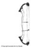 2021 Hoyt Altus 38 Compound Target Bow DCX Cam (Clearance X1033080) -Shooting Gear Store 2561104 white