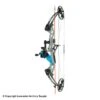 Fin-Finder F31 Compound Bow W/ RTF Bowfishing Package 1 Fin-Finder F31 Compound Bow W/ RTF Bowfishing Package -Shooting Gear Store 2760173