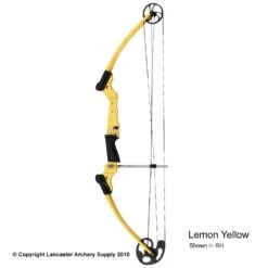Genesis Archery Original Genesis Bow (Colors) 17 Genesis Archery Original Genesis Bow (Colors) -Shooting Gear Store 3110064 lemonyellow