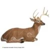 Delta McKenzie Bedded Deer Pro 3D Target 2 Delta McKenzie Bedded Deer Pro 3D Target -Shooting Gear Store 3120156