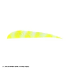Trueflight Brite Stripes 4" RW Round Back Feather 10 Trueflight Brite Stripes 4" RW Round Back Feather -Shooting Gear Store 5200006 chartreuse white