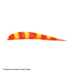 Trueflight Brite Stripes 4" RW Round Back Feather 12 Trueflight Brite Stripes 4" RW Round Back Feather -Shooting Gear Store 5200006 orange chartreuse