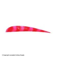 Trueflight Brite Stripes 4" RW Round Back Feather 11 Trueflight Brite Stripes 4" RW Round Back Feather -Shooting Gear Store 5200006 red pink