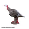 Rinehart Tom Turkey Target 1 Rinehart Tom Turkey Target -Shooting Gear Store 5650007