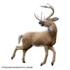 Rinehart Kicking Deer Target 2 Rinehart Kicking Deer Target -Shooting Gear Store 5650258