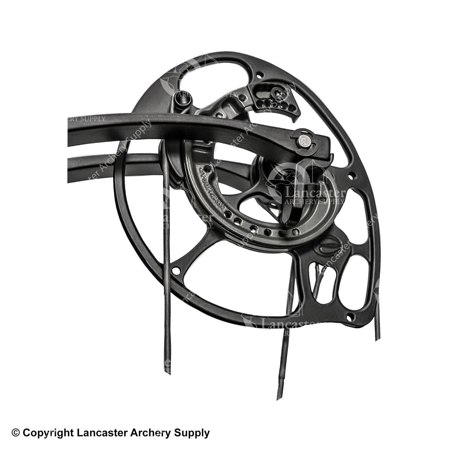 Elite Versa Performance Mod System 3 Elite Versa Performance Mod System