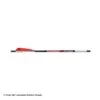 Bloodsport Witness Crossbow Arrows 2 Bloodsport Witness Crossbow Arrows -Shooting Gear Store 8500069