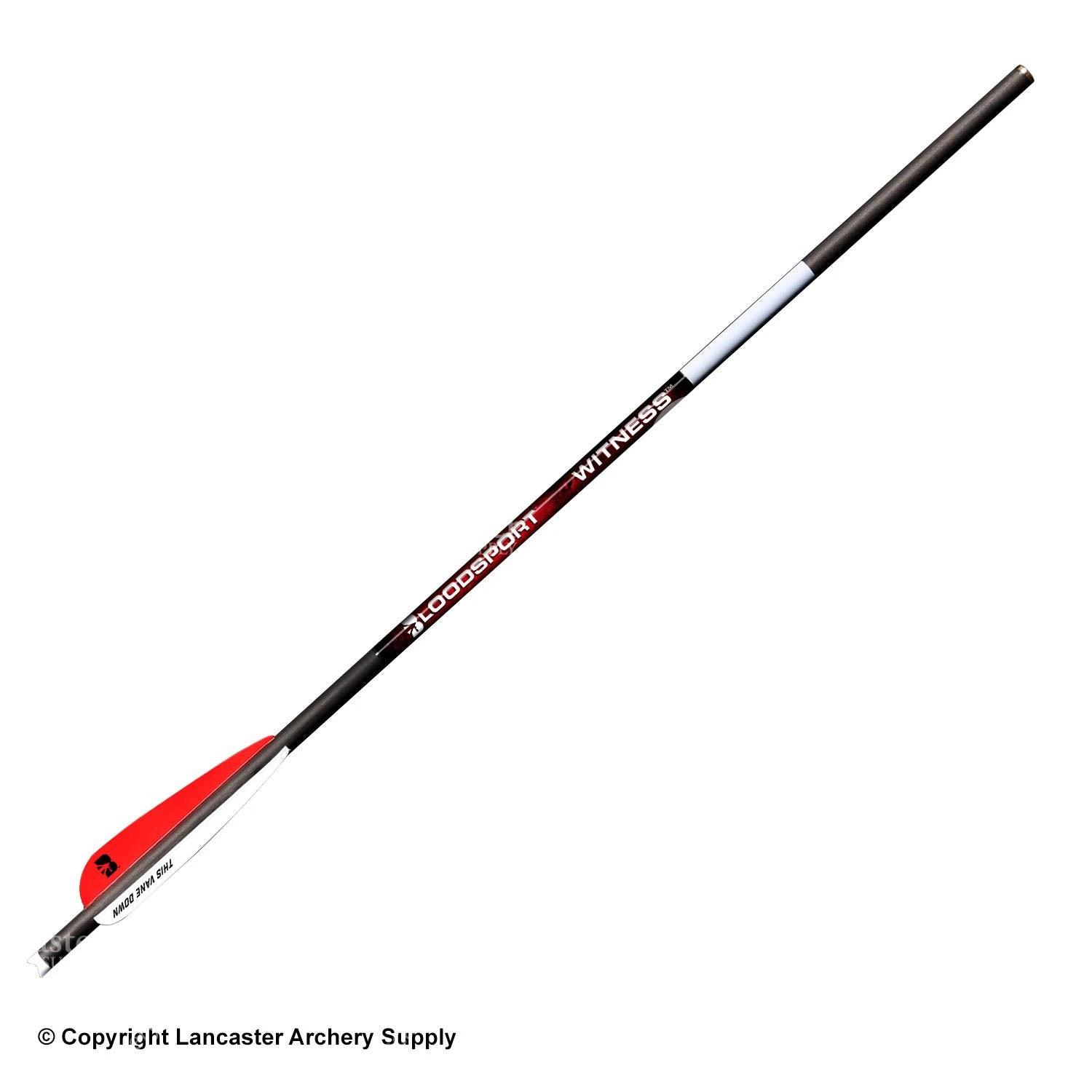 Bloodsport Witness Crossbow Arrows 4 Bloodsport Witness Crossbow Arrows - Image 2