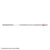 Bloodsport Prosecutor Fletched Arrows 1 Bloodsport Prosecutor Fletched Arrows -Shooting Gear Store 8500081